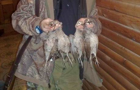 Описание: C:\Users\Сергей\Desktop\Форель\101120111340.jpg